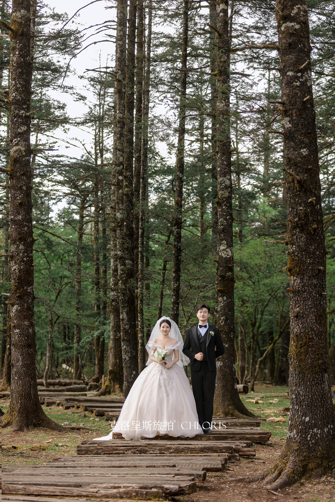 客片-云杉坪系列12